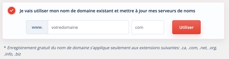 Capture d'écran de Rapidenet qui demande si nous allons utiliser notre nom de domaine qui hébergé ailleurs.