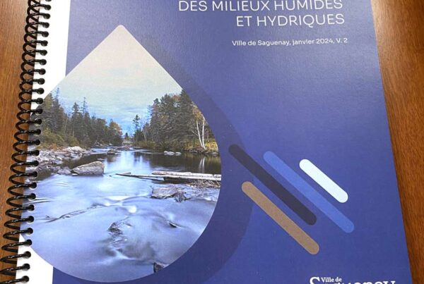 Ville Saguenay Plan régional des milieux humides et hydriques